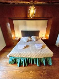 科尔托纳Pergaccio Deluxe House的一间卧室配有一张带两个枕头的床