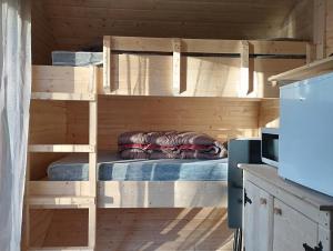 孔佛朗camping des ribieres的配有冰箱的厨房内的一张木制双层床