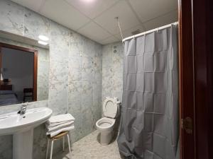 塔拉韦拉·德·拉·雷纳拉埃姆巴雅达旅馆的一间带水槽、卫生间和淋浴的浴室