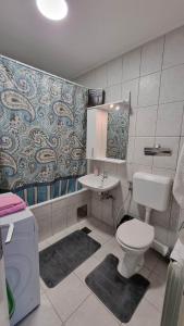 萨拉热窝Aya apartment Sarajevo的一间带卫生间和水槽的浴室