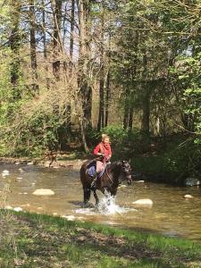 MassonnensSérénité et nature dans une ferme équestre的骑马穿过河流的人