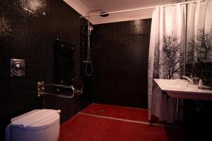 特普利采Hotel PAYER II的带淋浴、卫生间和盥洗盆的浴室
