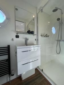 坎珀兰Houseboat Kamperland的白色的浴室设有水槽和淋浴。