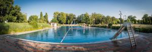 德累斯顿Ferienhaus Elbharmonie的公园里带梯子的游泳池
