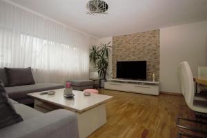 斯图加特Luxury Apartment in Stuttgart的带沙发和电视的客厅
