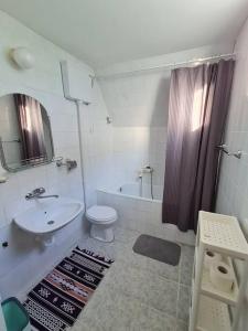 佩鲁恰茨Green House with Lake View的一间带水槽、卫生间和淋浴的浴室