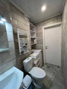 基希讷乌Downtown Accommodation的浴室配有白色卫生间和盥洗盆。