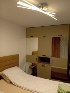 瓦列沃Stan na dan Sale 014的一间卧室配有一张床、一台电视和橱柜