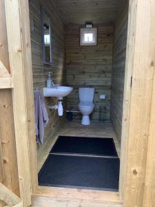 Westbury on SevernRivers View Holidays的一间带卫生间和水槽的浴室