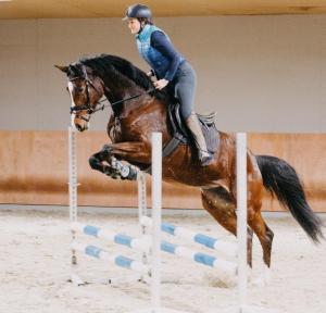 布兰德瓦利斯尔霍夫酒店的骑着马跳过障碍物的女人