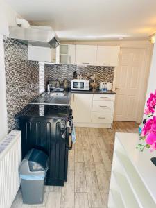 都柏林Lodge Apartment的厨房配有白色橱柜和炉灶烤箱。
