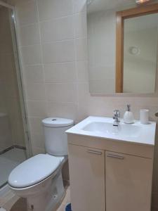 马德里Acogedor loftcon garaje a 10min del aeropuerto的白色的浴室设有卫生间和水槽。