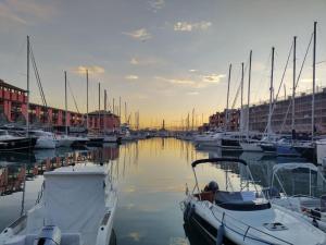 热那亚CasaViva - Bilo with patio in Genova San Teodoro的停靠在港口的一群船