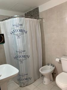 卡塔马卡Apart Ocampo Catamarca的浴室设有白色卫生间和淋浴帘。
