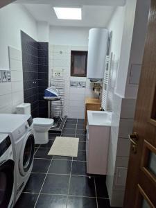 布拉索夫Casă și curte confortabilă的浴室配有卫生间水槽和洗衣机。