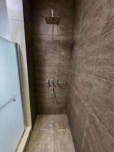 别德马Alquilo Casa Luminosa y Amplia en Viedma的一间铺有棕色瓷砖的带淋浴的浴室