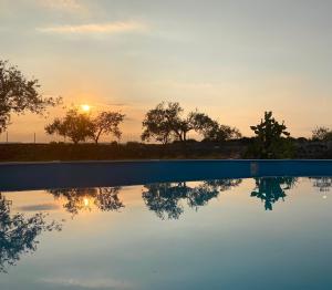CassaroVilla delle Stelle的享有日落背景的游泳池