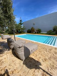 DiakoftiSirene Villas的海龟雕塑,坐在游泳池旁