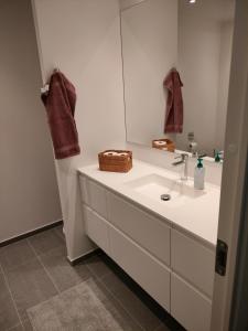 RødovreNy bolig i grønne omgivelser.的浴室设有白色水槽和镜子