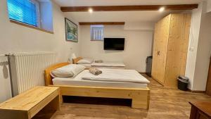 勒什Vila Eva Lesce - Bled的一间设有两张床和一台电视的房间