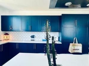 拉纳卡The Blue House的厨房配有蓝色橱柜和仙人掌