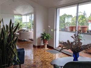 波帕扬Habitación en penthouse en el centro histórico的客厅配有桌子和一些植物