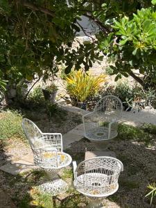 阿尔勒Maison Douce Arles的坐在树下地上的三把白色椅子