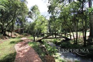 新彼得罗波利斯L'esperienza - Pousada Butique - Ecoturismo的森林中一条小溪上的木桥