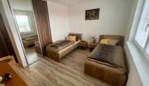 波切尼斯Apartman De lux 85m2的小房间设有两张床和镜子