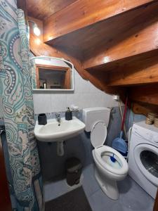 SykaminéaDameli的一间带卫生间和水槽的浴室