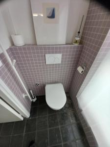 济里克泽TIJ Tiny house aan het getijdewater in Zierikzee的一间小浴室,内设一个紫色瓷砖厕所