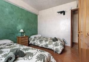洛西洛斯Graciosa Sunset Apartment的一间卧室设有两张床和绿色的墙壁