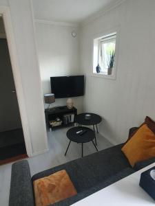 特罗姆瑟Small and cute apartment in city center的带沙发和电视的客厅