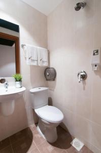 新加坡Fragrance Hotel - Rose的一间带卫生间和水槽的浴室