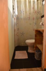 派帕Hotel Campestre Villa Los Duraznos的一间带卫生间和淋浴帘的浴室