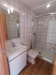 梅桑弗里乌Casa Miradouro的浴室配有卫生间、盥洗盆和淋浴。