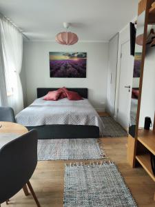 ĶesterciemsSeaside apartment Albatross, spa and pool的卧室配有一张床,墙上挂有绘画作品