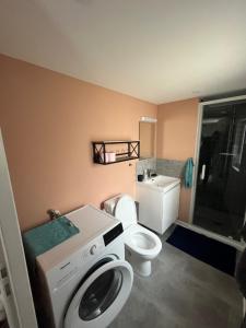 瓦朗西纳Suite Cosy MontBlanc en Hyper Centre的一间带洗衣机和卫生间的浴室