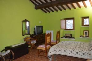 斯波莱托Casa Borgo Marco e Cristina的一间带绿色墙壁的卧室、一张床和电视