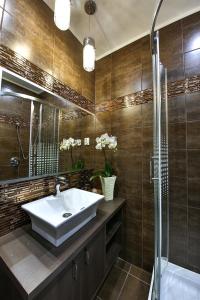 凯奇凯梅特Royal Apartments Hotel Kecskemét的一间带水槽和淋浴的浴室