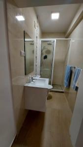 明德卢Apartamento F3, Lazareto - Mindelo的一间带水槽和淋浴的浴室