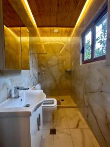 RoshnikAlpeta Agrotourism & Winery - Roshnik , Berat的一间带水槽和卫生间的浴室
