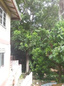 斯卡伯勒Cocoa Cabana的白色长椅房子前面的树