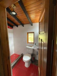 阿基塔尼亚Acogedora Cabaña Chalet en Medio de la Naturaleza的浴室配有白色卫生间和盥洗盆。