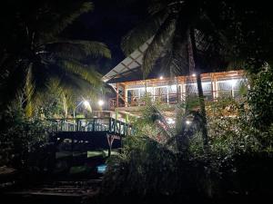 La ViñaPalmeras del Río HOTEL的一座在晚上种植棕榈树的建筑