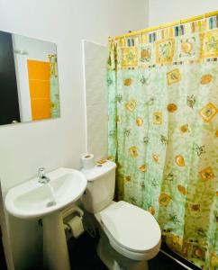 布加Hospedaje DJ的浴室设有卫生间、水槽和淋浴帘