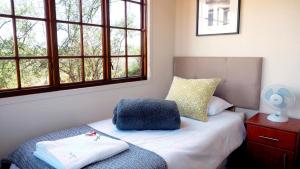 奥茨胡恩Klein Karoo Game Lodge的一间卧室配有一张带枕头和窗户的床