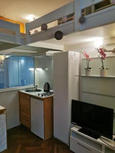 布达佩斯Liberty Bridge Zenta的厨房配有冰箱和炉灶。 顶部烤箱