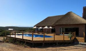奥茨胡恩Klein Karoo Game Lodge的一座带游泳池和茅草屋顶的房子