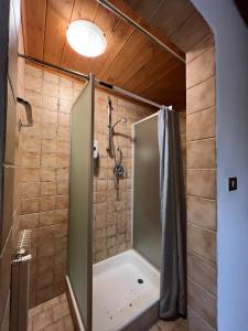 塞尔瓦迪加尔代纳山谷Rifugio Frara的浴室里设有玻璃门淋浴
